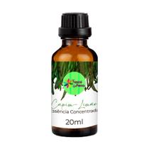 Essência Concentrada 20ml Capim Limão