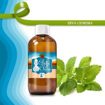 Essência Concentrada Lembrancinha 100Ml - Erva Cidreira - Bain Di Chero