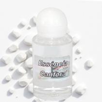 Essência de Cânfora 10ml Aromatização Limpeza Energética Proteção Espiritual Essência de Cânfora 10ml Aromatização Limpeza Energética Proteção Espiritual