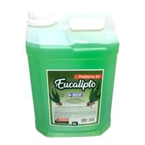 Essência De Eucalipto 5l Borlen Uso Em Sauna E Ambientes