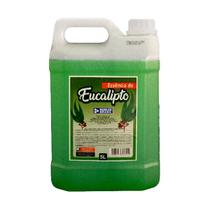 Essência Eucalipto Aromatizante Concentrado Para Sauna 5L