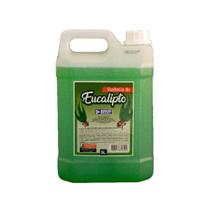Essência Eucalipto Aromatizante Concentrado Para Sauna 5L