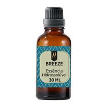 Essência Hidrossolúvel A Base De Água 30ml Nattuaromas Essência Hidrossolúvel A Base De Água 30ml Nattuaromas