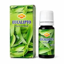 ESSÊNCIA INDIANA Aromático Aromaterapia EUCALIPTO purificado ESSÊNCIA INDIANA Aromático Aromaterapia EUCALIPTO purificado