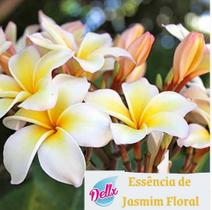 Essência Jasmim Floral- 250 ML - Dellx