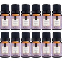 Essência Lavanda 12 X 10ml - Via Aroma