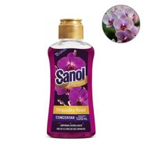 Essencia Limpador Perfumado Concentrado 120ml Ideal para Ambientes e Superfícies Multiuso Duradouro Perfume:Orquidea Rea