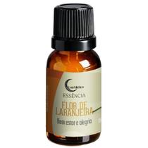 Essência Líquida Aromatizador Difusor Diversos Aromas 15 ml Fragrância:Flor de Laranjeira Essência Líquida Aromatizador Difusor Diversos Aromas 15 ml Fragrância:Flor de Laranjeira