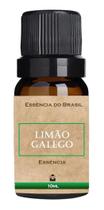 Essência Para Aromatizador / Difusor 10ml - Escolha O Aroma