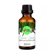 Essencia para aromatizador Difusor de Ambientes Eletrico Concentrada 20ml