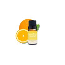 Essencia Para Aromatizador Difusor Umidificador de Ambiente Concentrada Aromas 10ml