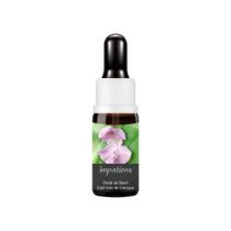 Essencia Uniflowers Estoque De Bach Impatiens 30Ml