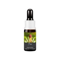 Essencia Uniflowers Estoque De Bach Pine - 10Ml