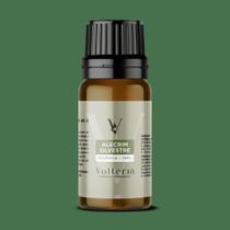 Essencia Volterra Alecrim Silvestre 10ml Essencia Volterra Alecrim Silvestre 10ml