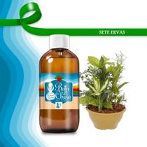 Essencias Aromatizantes Concentrada Vela Sete Ervas 100Ml