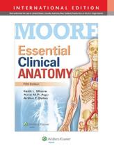 Essential Clinical Anatomy - LWW