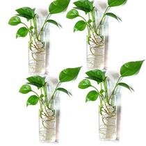 Estação de propagação de plantas de terrário Wall Planter Kingbuy Estação de propagação de plantas de terrário Wall Planter Kingbuy