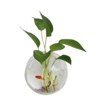 Estação De Propagação De Plantas De Vidro Montada Na Parede Para Plantas Aéreas Decoração De Casa E