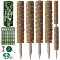 Estacas de Musgo Fabulas para Plantas Trepadoras 16 cm Paquete de 4 com Amarras