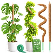 Estacas de Musgo K-Brands 160 cm Poste para Plantas 2 Unidades