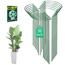 Estacas de Suporte para Plantas LKSSZS 30 polegadas Meia-Roda Pacote com 12 Estacas de Suporte para Plantas LKSSZS 30 polegadas Meia-Roda Pacote com 12
