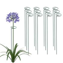Estacas de Suporte para Plantas Thealyn 61 cm Pacote com 20 Arcos de Aço Estacas de Suporte para Plantas Thealyn 61 cm Pacote com 20 Arcos de Aço