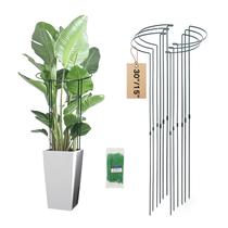 Estacas de Suporte para Plantas Tiuire Ajustáveis 76 cm Pacote com 6 Estacas de Suporte para Plantas Tiuire Ajustáveis 76 cm Pacote com 6