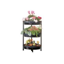 Estante de Plástico São Bernardo Kitm Preta 47x34,5x75cm