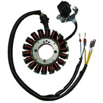 Estator Com Bobina Moto Shineray SHI175 2023 Original