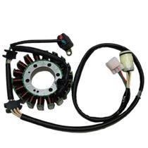 Estator com Bobina Moto Titanium Shineray Original Estator com Bobina Moto Titanium Shineray Original