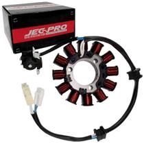Estator Completo 12 Bobinas FAZER250 06-08/ LANDER250 07-19 Estator Completo 12 Bobinas FAZER250 06-08/ LANDER250 07-19