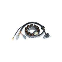 Estator Completo De Bobinas Yamaha Ybr Factor 125 Xtz 125 Magnetron