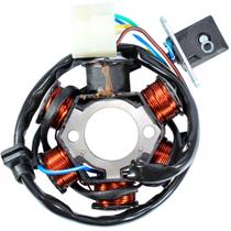 Estator gerador magneto completo Shineray XY50 XY50Q New Super Smart50 Phoenix50 Phoenix Gold50 6 bobinas