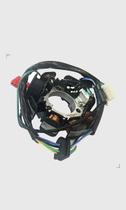 Estator Xlr 125 Titan 2000/01 Cawu