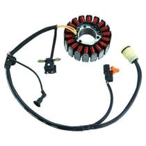 Estator Xre 300 Modelo Original Apos 2013 90278960 - Magnetron