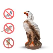 Estátua Águia Gavião Espanta Pombos Gesso - Varias Variedades