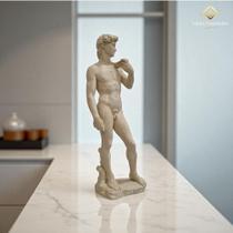 Estátua Artística P/ Interiores Sala de Estar Davi Michelangelo Gesso Premium 46cm AVB DECOR