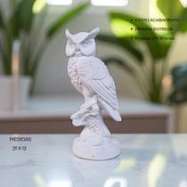 Estátua Coruja no Tronco 21 Cm Gesso Premium Decoração de Ambientes para Pintura DIY AVB DECOR Estátua Coruja no Tronco 21 Cm Gesso Premium Decoração de Ambientes para Pintura DIY AVB DECOR