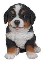 Estátua de cachorrinho Bernese Mountain Dog Hi-Line Gift Ltd Polyresin Estátua de cachorrinho Bernese Mountain Dog Hi-Line Gift Ltd Polyresin