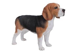 Estátua de cachorro Beagle da Hi-Line Gift Ltd, poliresina, interior e exterior