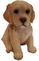 Estátua de cachorro Golden Retriever da Hi-Line Gift Ltd em poliresina