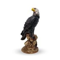 Estátua Gavião Águia Espanta Pombo E Pássaros Grande 52 Cm Envernizado - Envio Rápido - VÁRIAS VARIEDADES