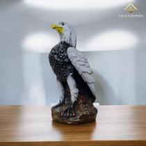 Estátua Gavião Espanta Pombo Pardal Jardim Edição Limitada AVB DECOR Estátua Gavião Espanta Pombo Pardal Jardim Edição Limitada AVB DECOR