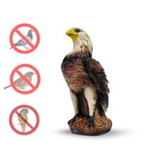 Estátua Gavião Espantalho Falcão Espanta Pombo Pássaro Pardal Preto Maritaca - Varias Variedades