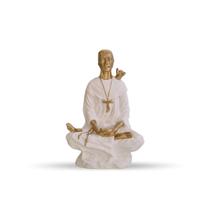 Estátua Imagem Decorativa São Francisco Assis Meditando - Em Gesso 20 Cm - Várias Variedades