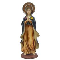 Estátuas, estatuetas, escultura, ornamento, resina, rezando, Madonna