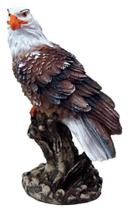 Estatueta Aguia no tronco de Resina alta qualidade Grande - Decore Casa Estatueta Aguia no tronco de Resina alta qualidade Grande - Decore Casa