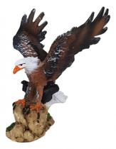 Estatueta Águia Pequena De Resina Com Asa Aberta Decorada Estatueta Águia Pequena De Resina Com Asa Aberta Decorada