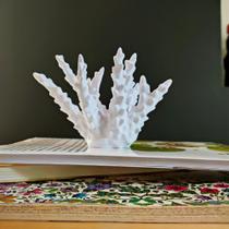 Estatueta Coral Belize 10 cm - Decoração Quarto, Sala, Escritório, Praiana Estatueta Coral Belize 10 cm - Decoração Quarto, Sala, Escritório, Praiana