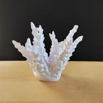 Estatueta Coral Belize - Decoração Para Sala E Quarto- 10cm